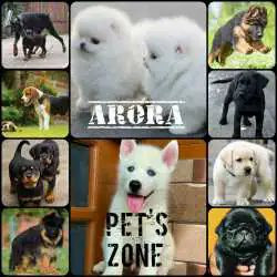 Arora Pet's Zone