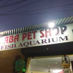 Baba Pet Shop & Fish Aquarium