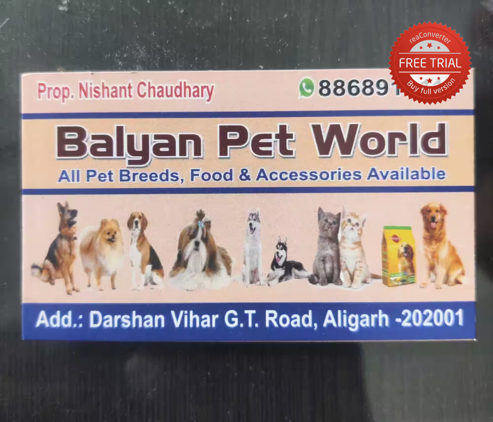 Balyan Pet World