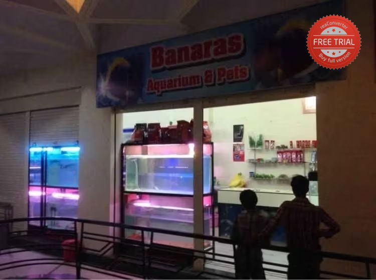 Banaras Aquarium & Pets