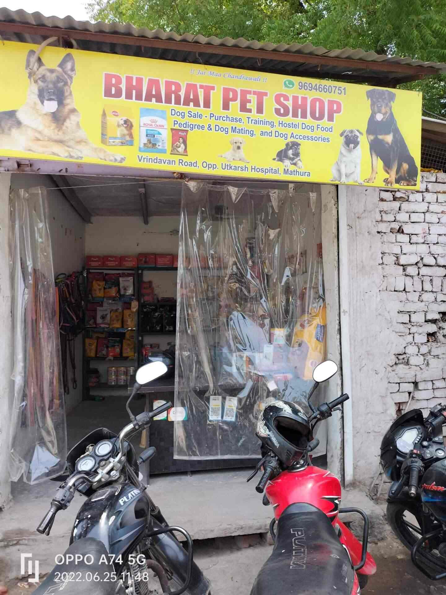 Bharat Pet Shop