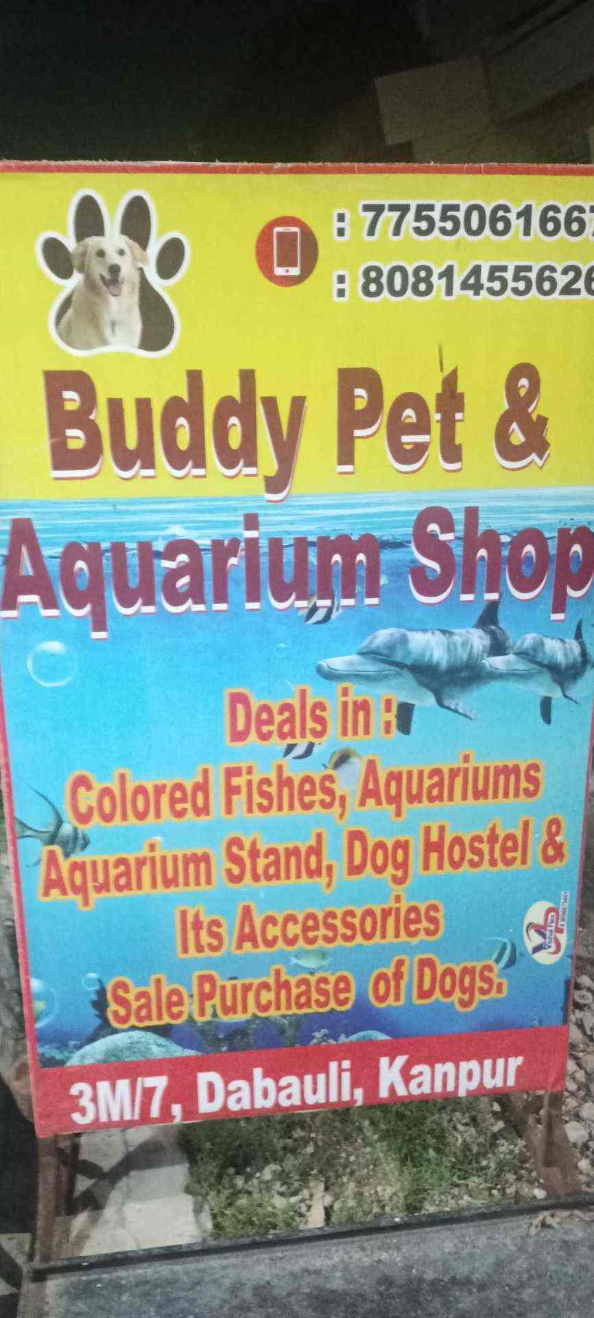 Buddy Pet & Aquarium Shop