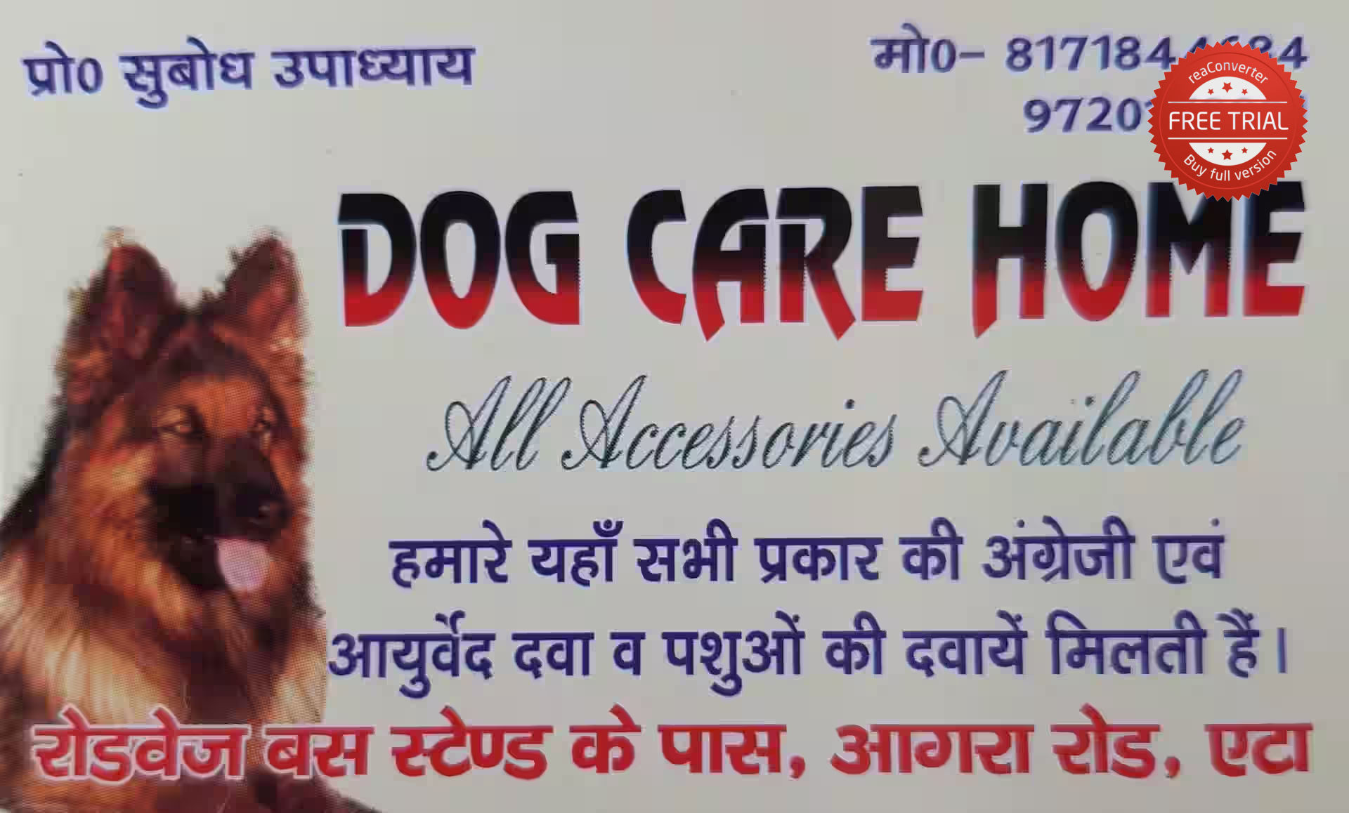 Dog Care Home