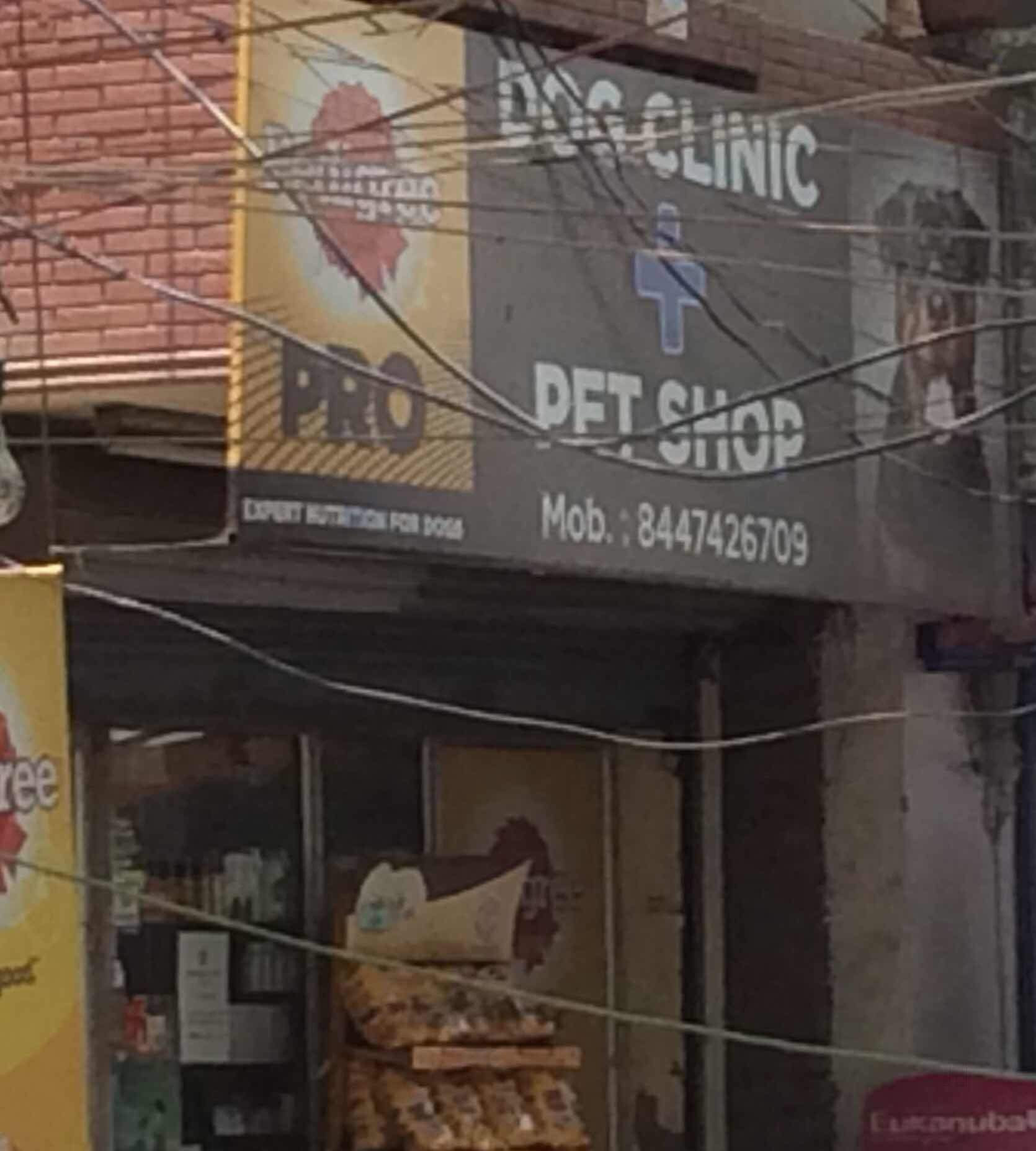 Dog Clinic and Pet Shop