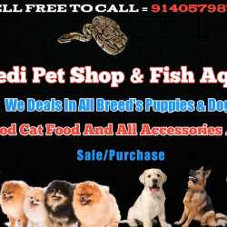 Dwivedi Pet Shop & Fish Aquarium