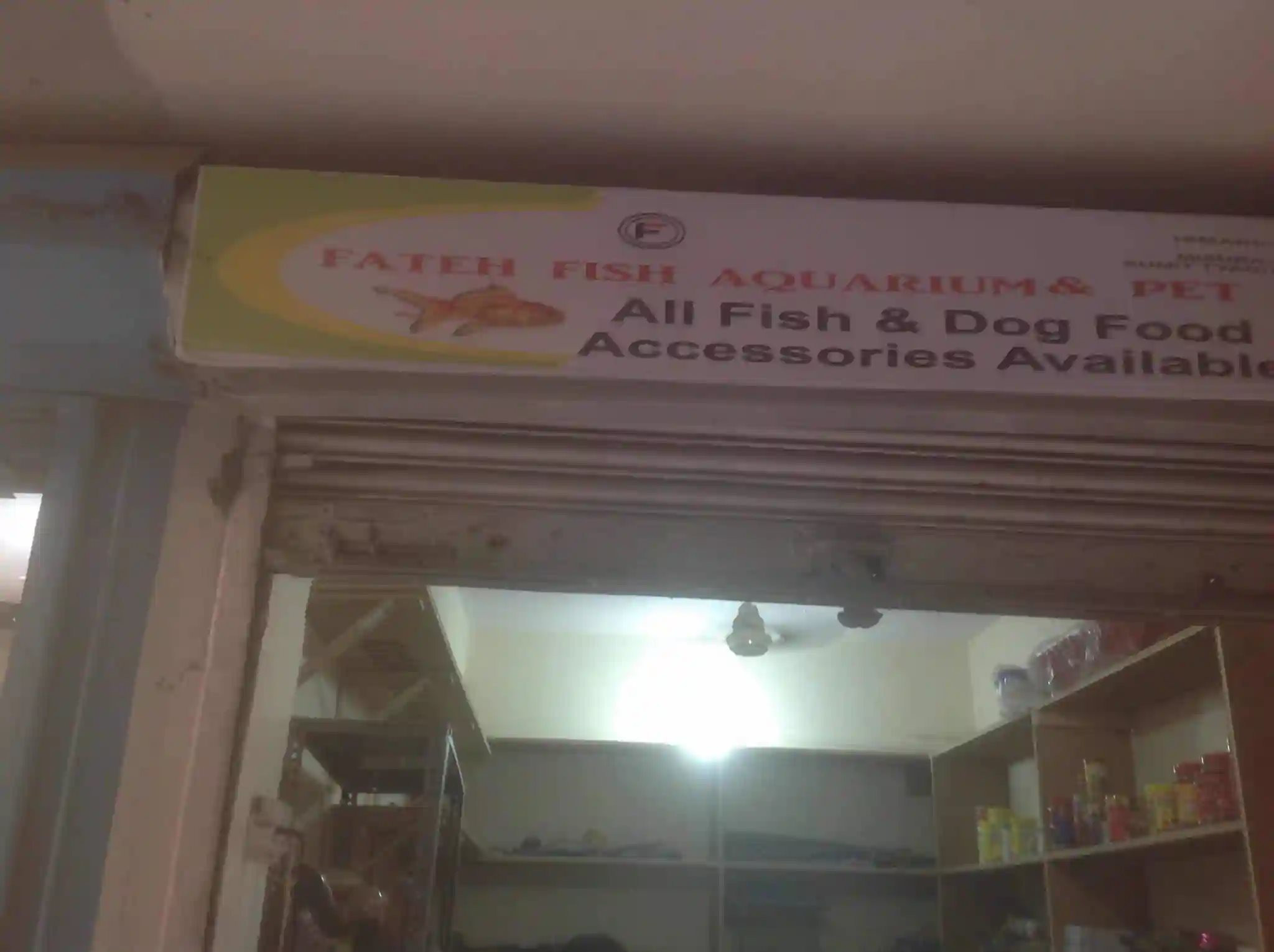 Fateh Fish Aquarium and Pet