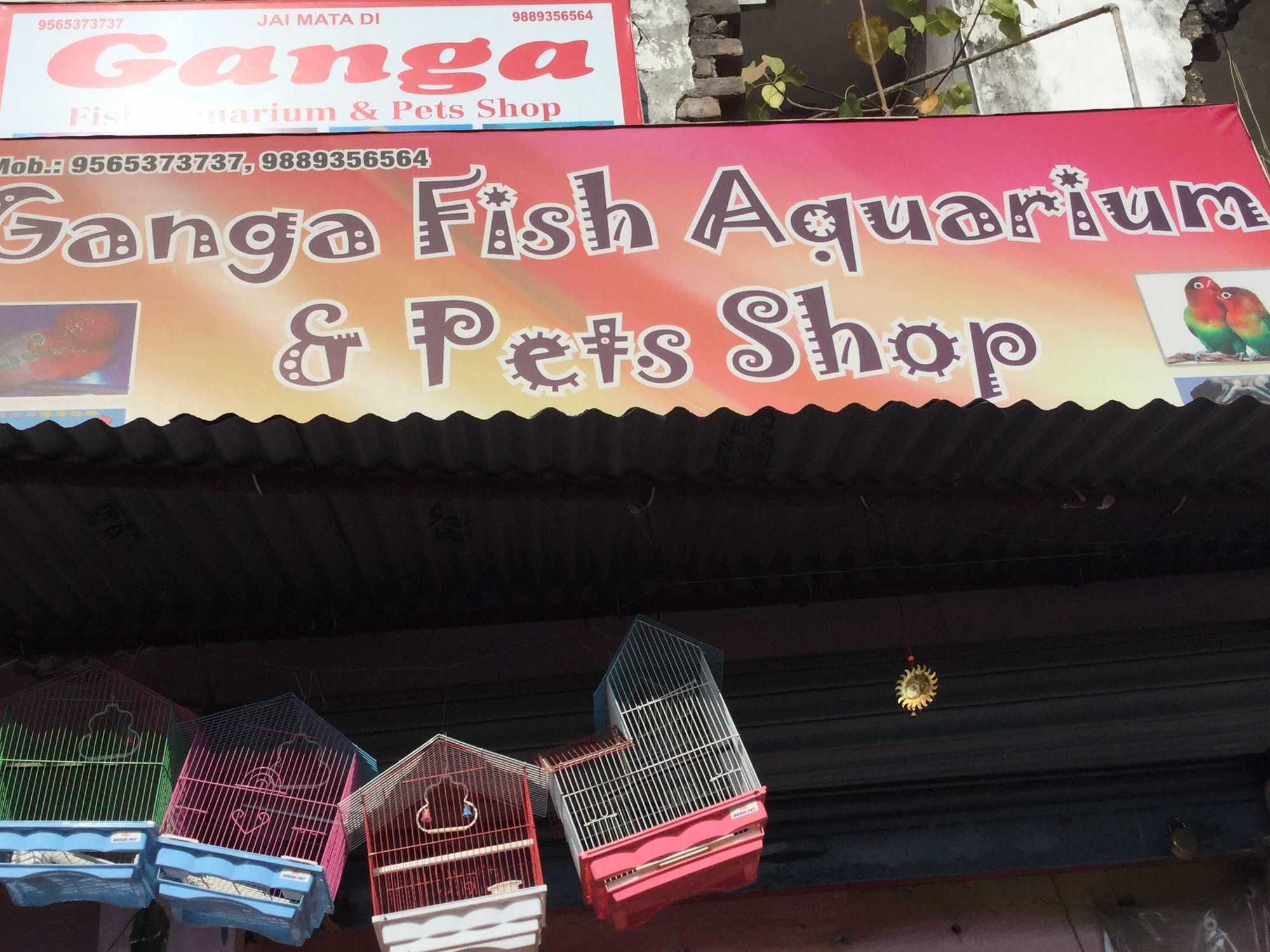 Ganga Fish Auqurime And Pet Shop