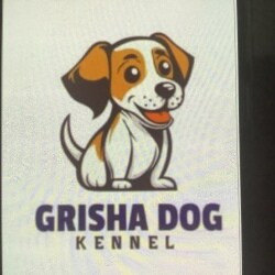 Grisha Dog Kennel