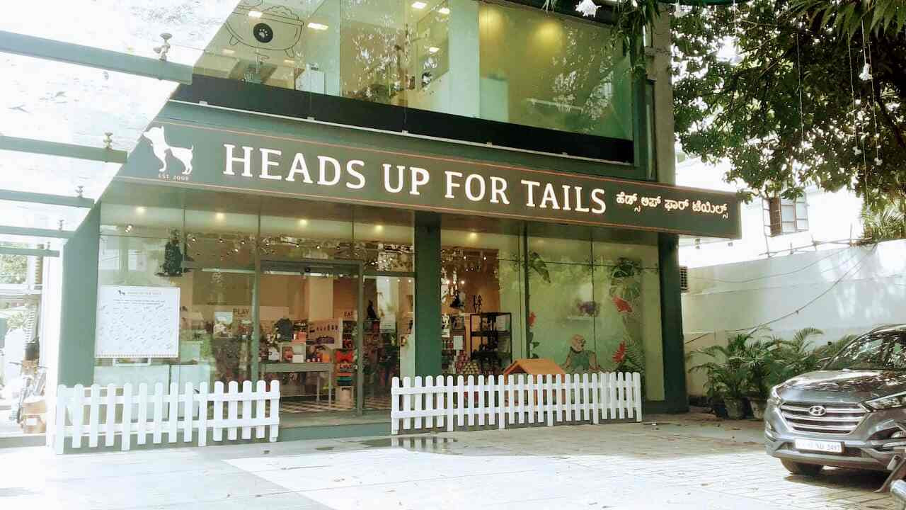 Heads Up For Tails