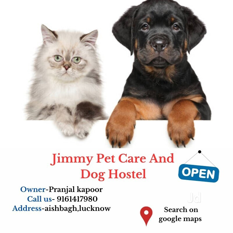 Jimmy Pet Care And Dog Hostel