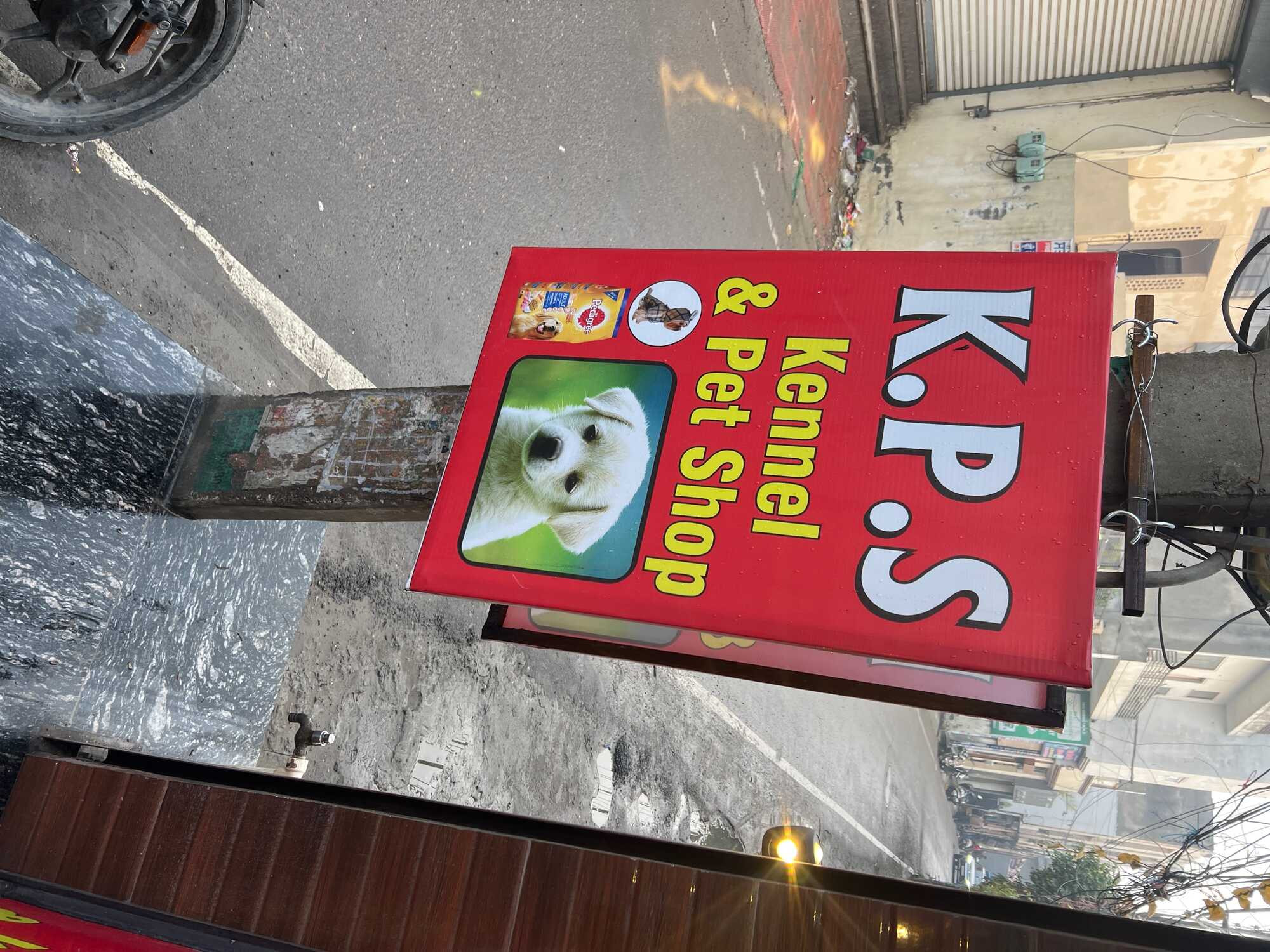 K.P. S Kennel & Pet Shop