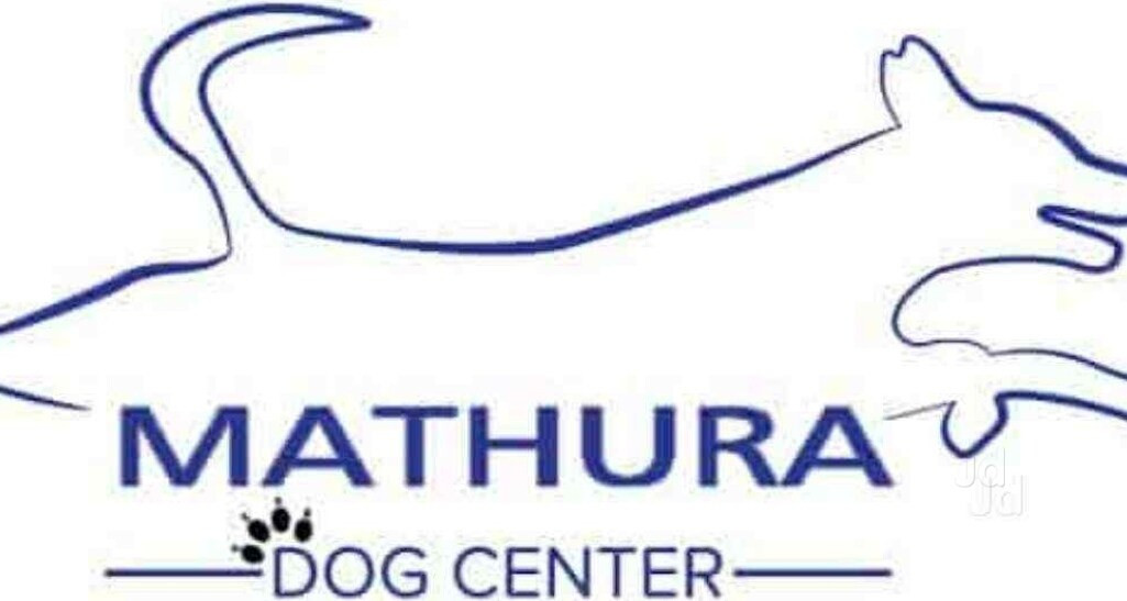 Mathura Dog Center