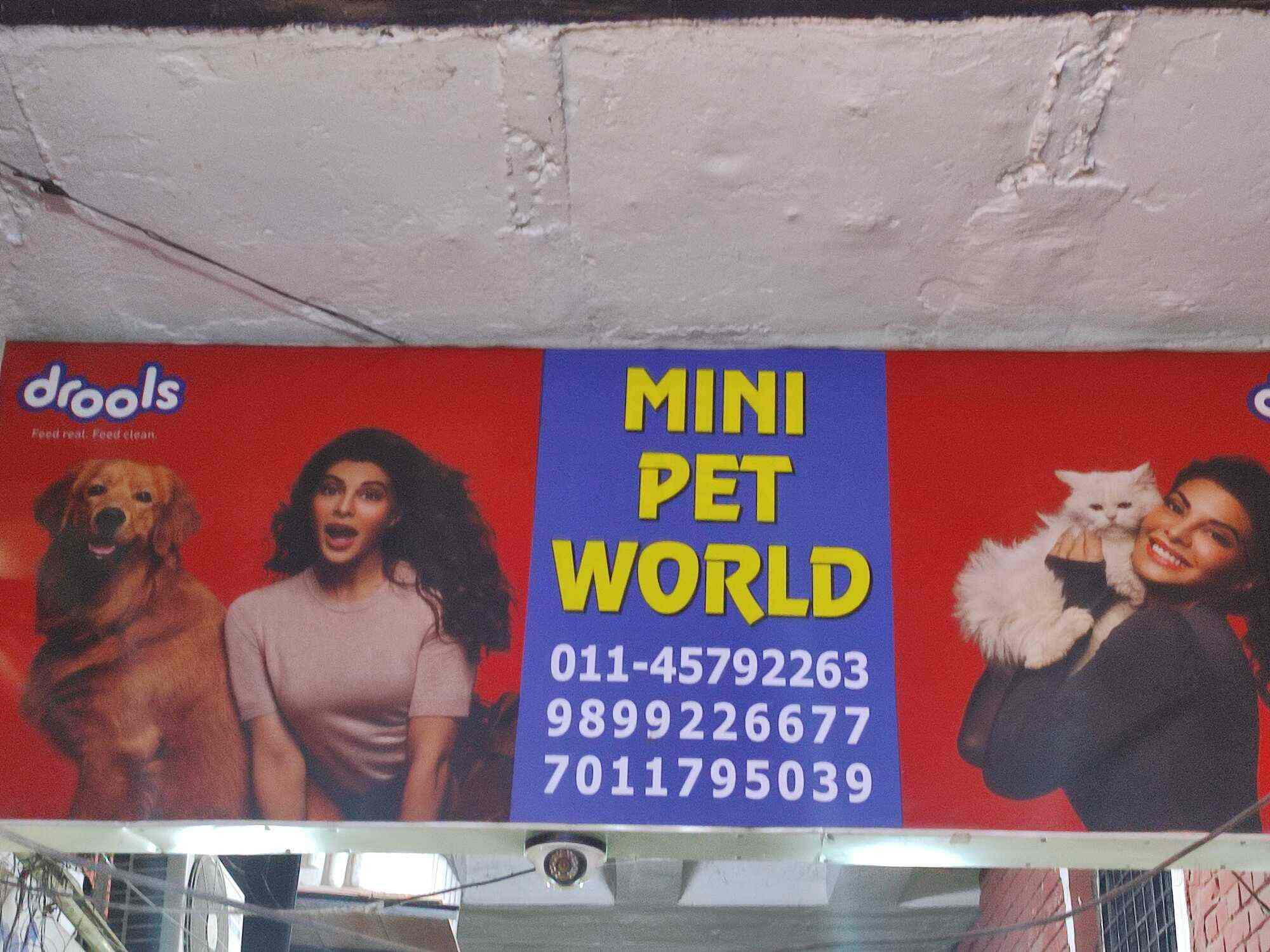 Mini Pet World