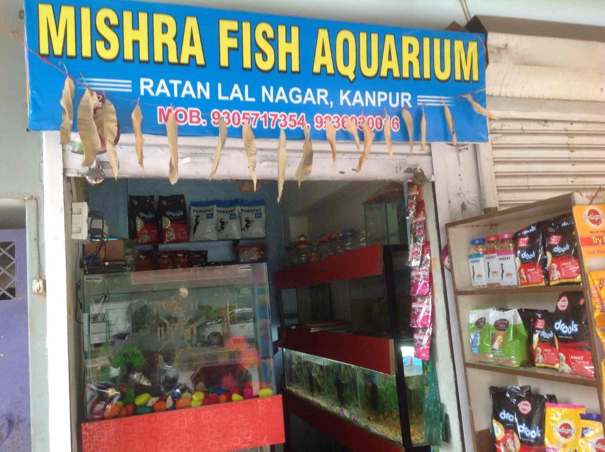 Mishra Fish Aquarium