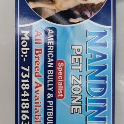 Nandini Pet Zone