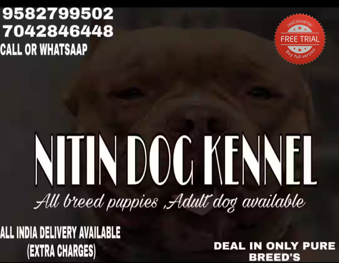 Nitin Dog Kennel