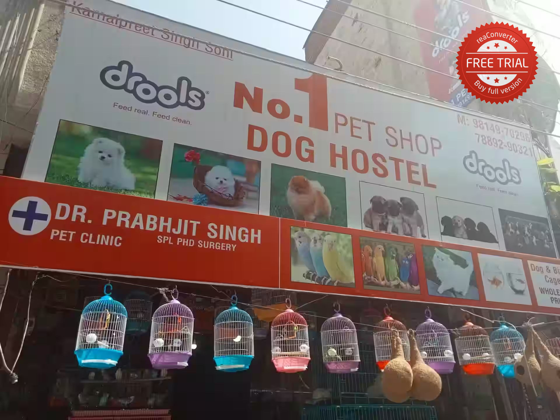 No 1 Pet Shop & Dog Hostel