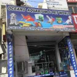 Oceans Aquarium & Pet World