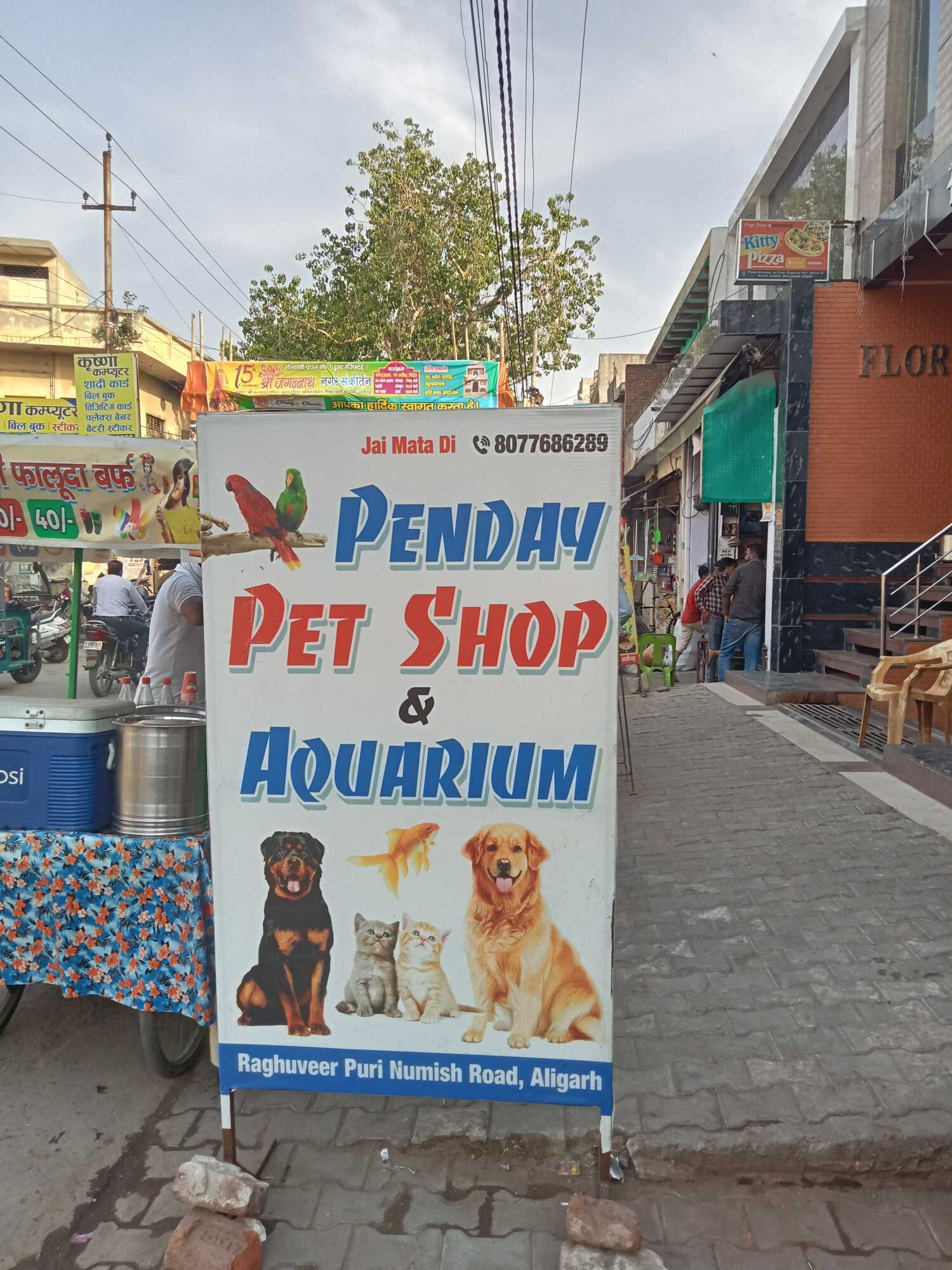 Pandey Pet Shop and Aquarium