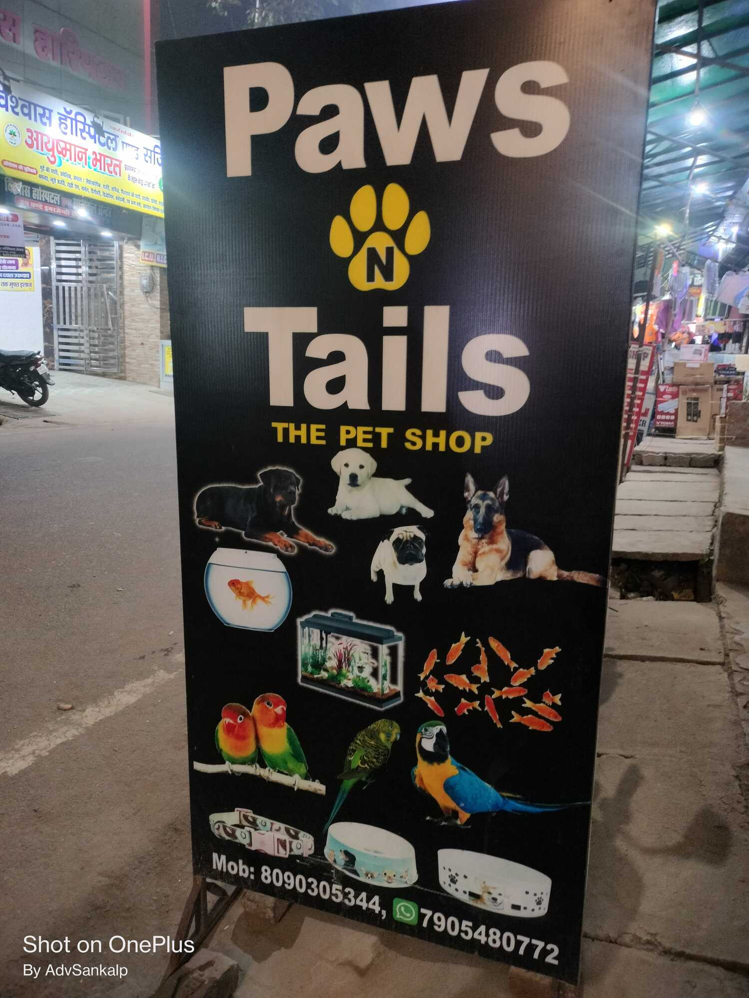 Paws N Tales The Pet Shop