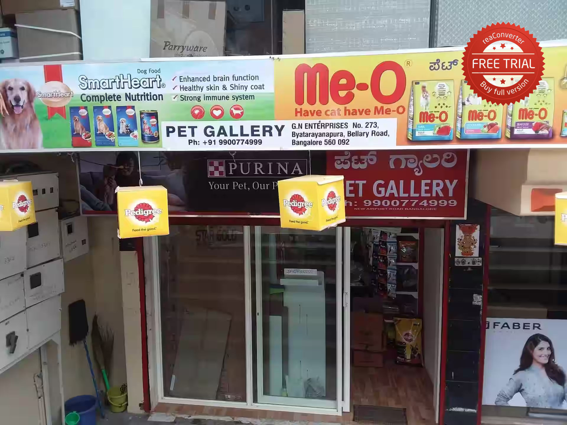 Pet Gallery