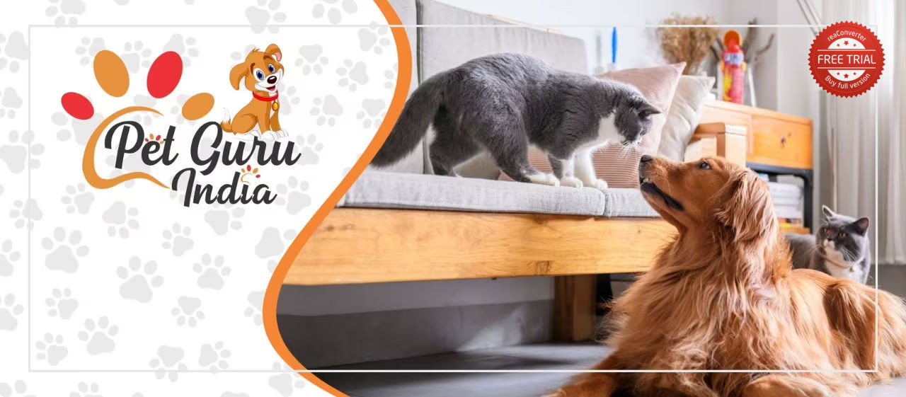 Pet Guru INDIA