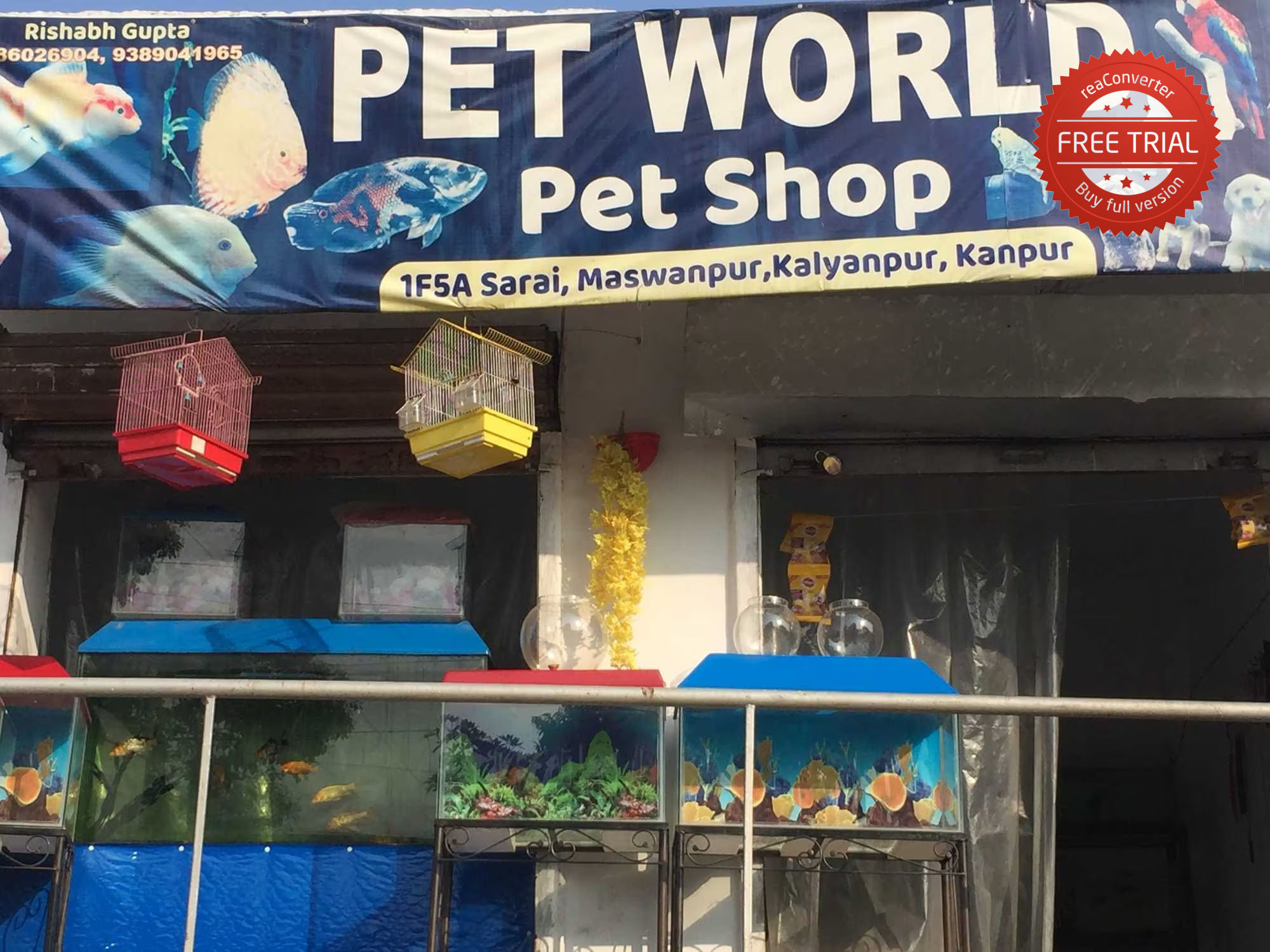 Pet World Pet Shopp