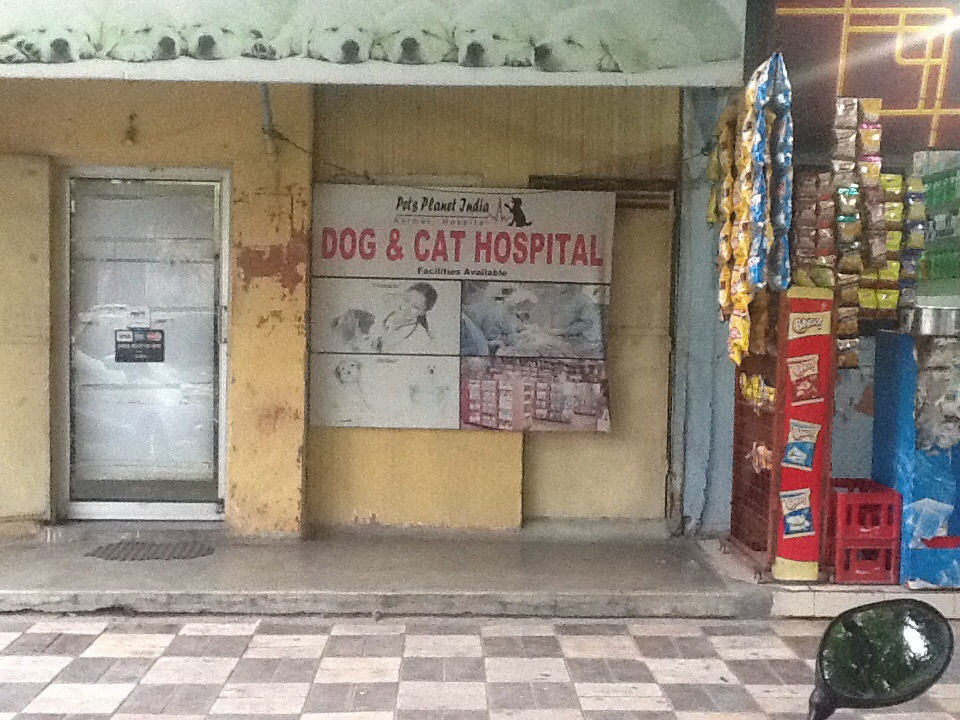 Pets Planet India Speciality Clinic For Dogs & Cats