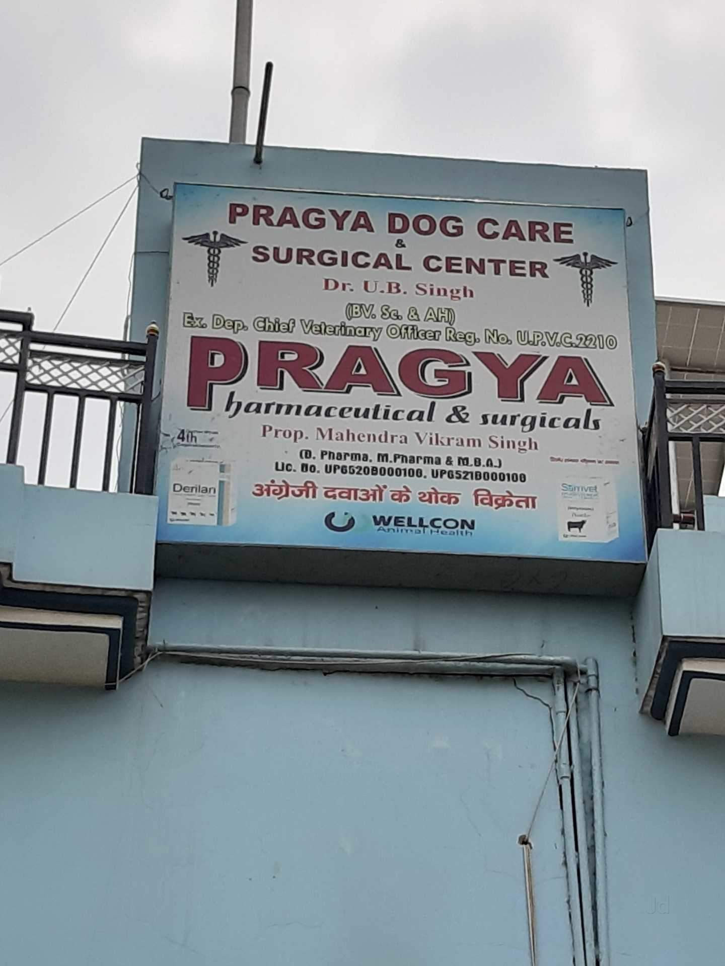 Pragya Dog Care and Surgical Centre