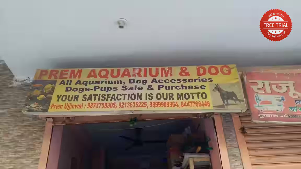 Prem Aquarium Dog & Cat Shop