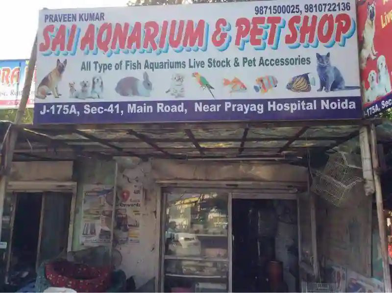 Sai Aquarium & All Pet Facilities