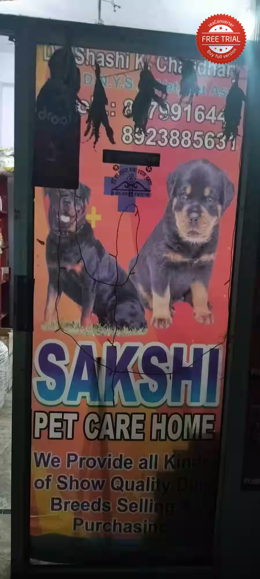 Sakshi Pet Care Home