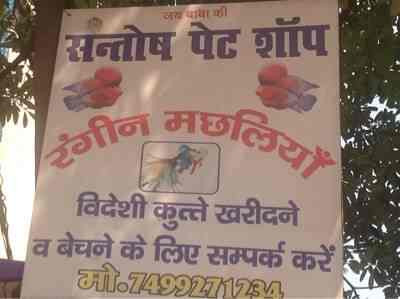 Santosh Pet Shop