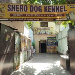 Shero Dog Kannel,Tola Luxa Road