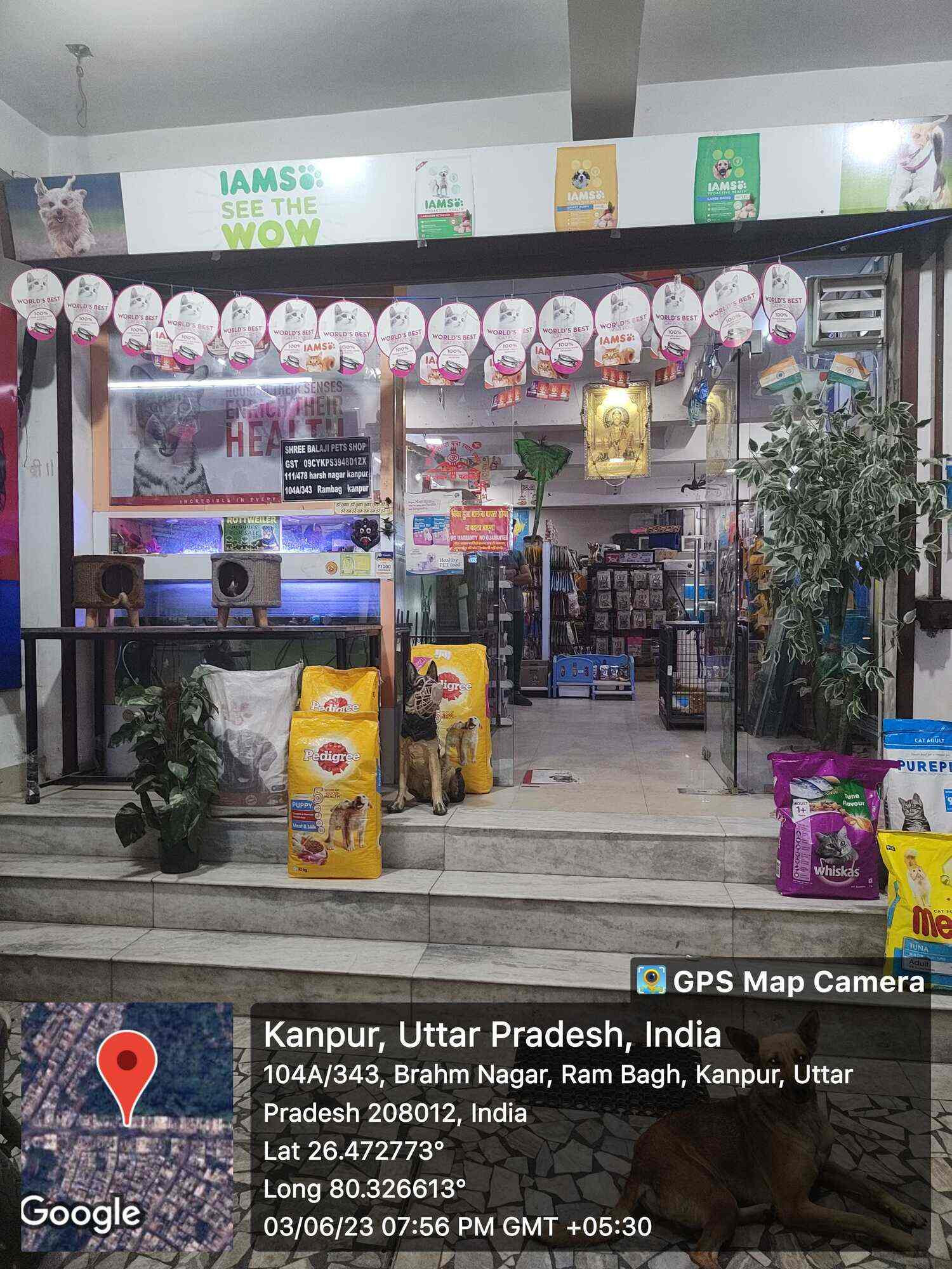 Shree Bala Ji Pet Shop, Colonelganj, Kanpur