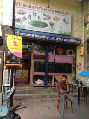 Shree Balaji Pets Shop