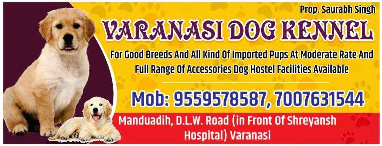 Varanasi Dog Kennel