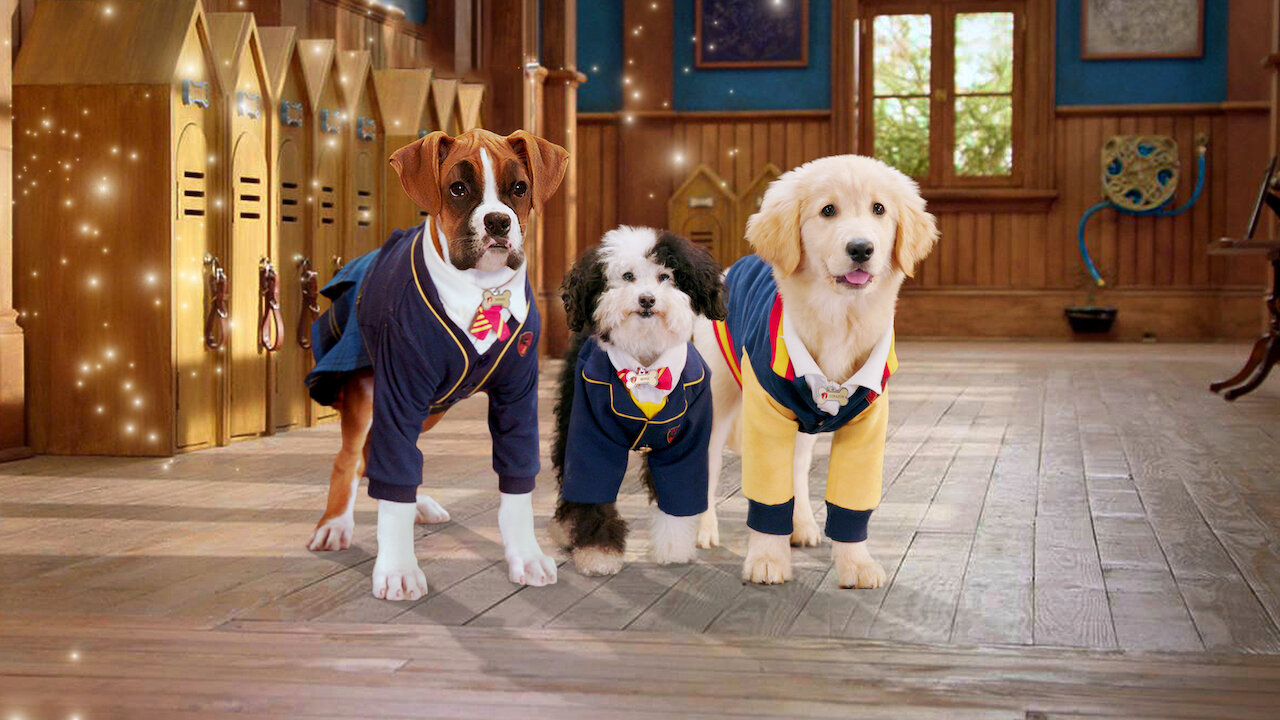 Pup Academy Dog Movie (2019)