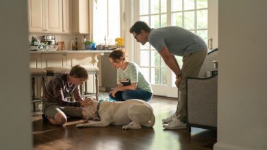 Dog Gone. (L to R) Johnny Berchtold as Fielding, Kimberly Williams-Paisley as Ginny, Rob Lowe as John in Dog Gone. Cr. Bob Mahoney/Netflix © 2022.