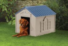 Suncast Outdoor Dog House with Door