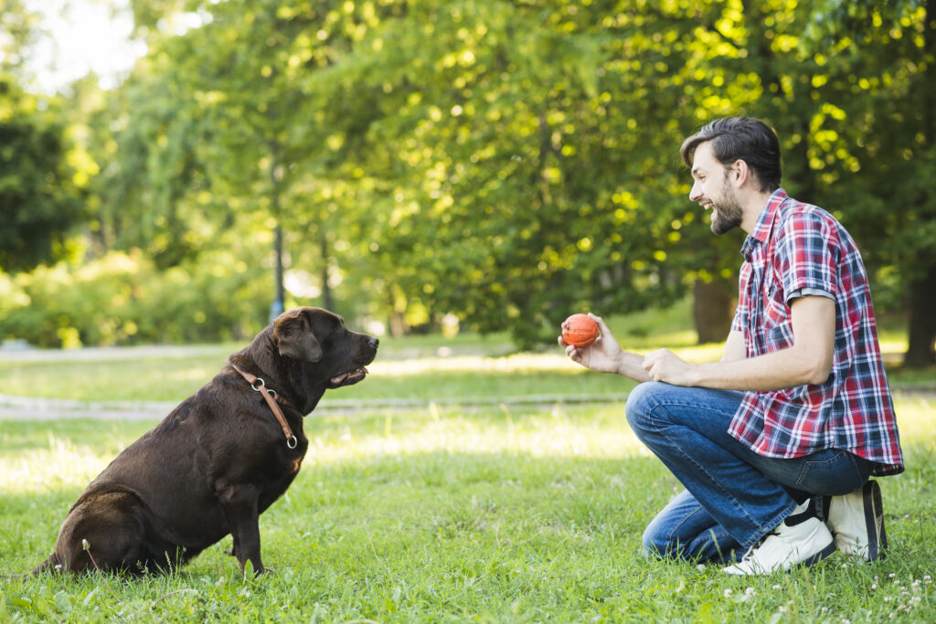 playing-with-dog
