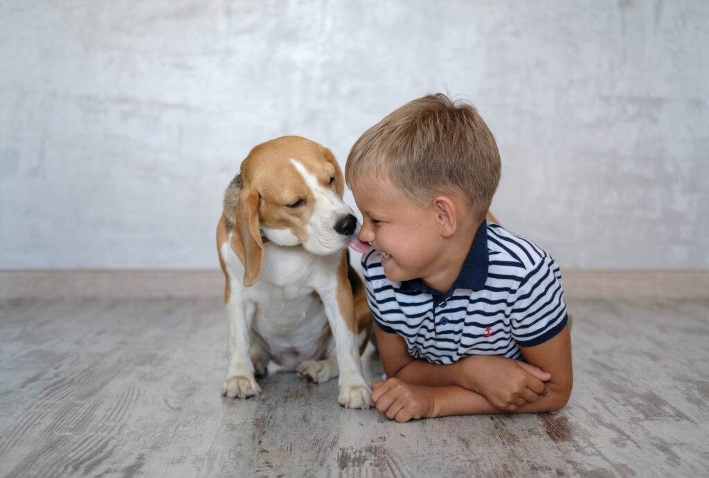 boy-beagle-dog-playing-floor-room